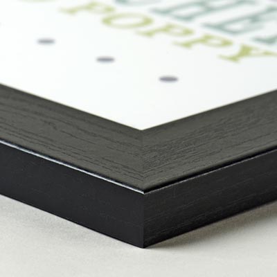 frame close up